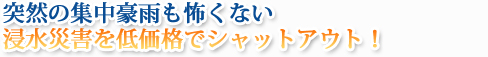 突然の集中豪雨も怖くない　浸水災害を低価格でシャットアウト！